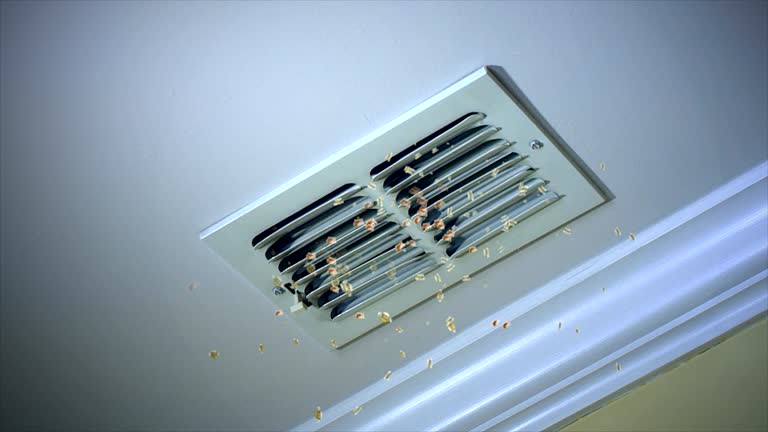 Best Local Air Duct Cleaning Services  in Oak Grove, MS