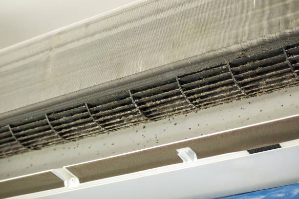 Best Ductwork Cleaning Services  in Oak Grove, MS